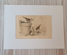 1852 Lithographie Kunstdruck