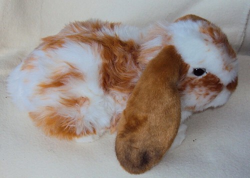 Hase rot braun - gescheckt, von