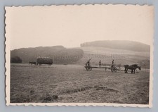 Landwirtschaft - Fach-Drogerie