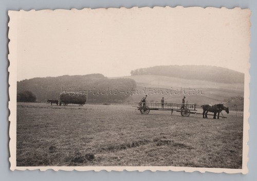 Landwirtschaft fach drogerie - landwirtschaft, fach-drogerie