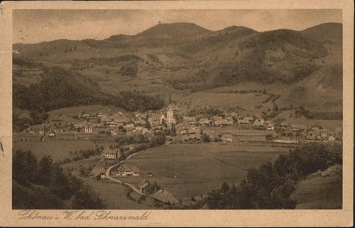 Schoenau schwarzwald luftbild - schoenau,