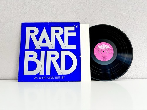Rare bird as your mind - rare, •