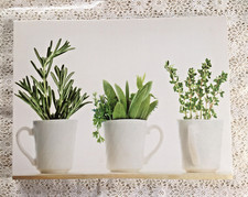 Leinwandbild  30 x 40 cm Blumen Stillleben Blumenbild Print Leinwand Rahmen