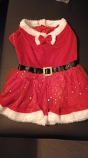 Weihnachten  Kleid für