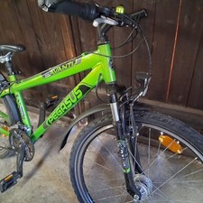 Pegasus Fahrrad Dunkel Grün