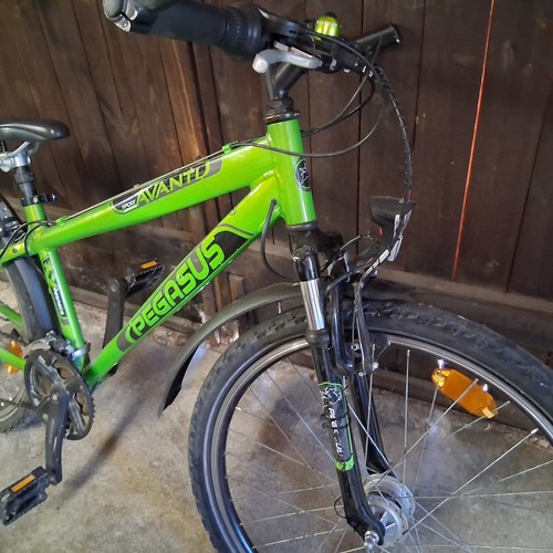 Pegasus fahrrad dunkel - dunkel, grün