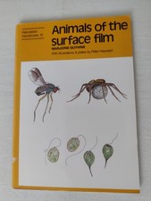 Animals of the surface film Bestimmungsbuch