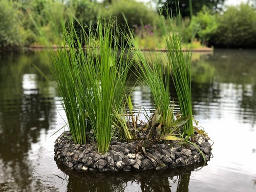 Schwimmende pflanzeninsel - , ⌀