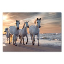Postereck 3510 Poster Leinwand Pferde, Herde Natur Tier Meer Strand Weiss