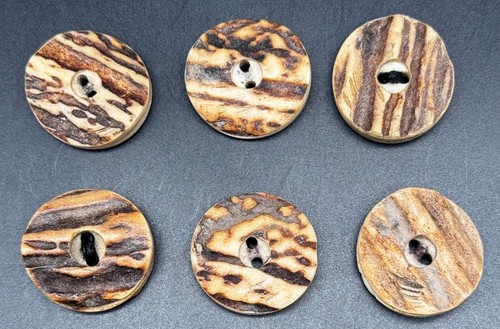 6 alte hirschhorn - ⚜️,