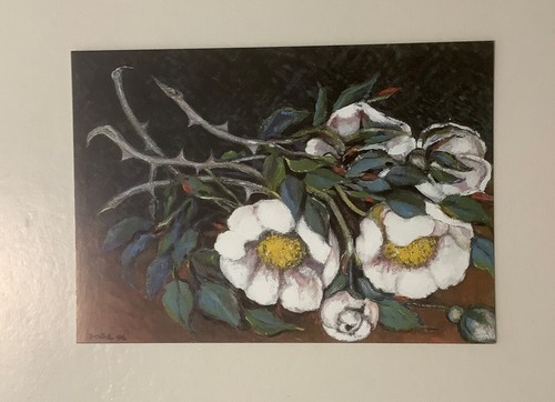 Kunst postkarte heckenrose - 1,