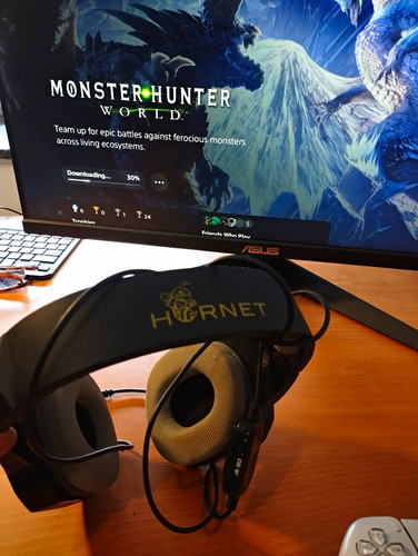 Hornet gaming headset - hornet, gaming-headset