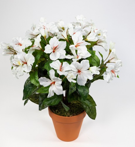 Großer hibiskus 42cm - hibiskus,
