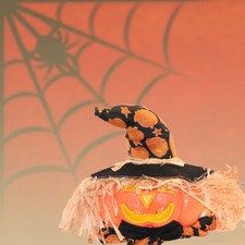 Beleuchteter Kürbiskopf Mr