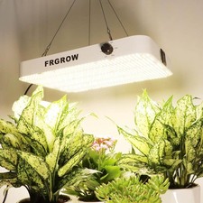 Led pflanzenlampe 260w - pflanzenlampe,