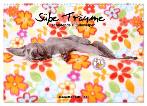 Süße träume 2027 - süße,