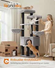 Feandrea Kratzbaum groß