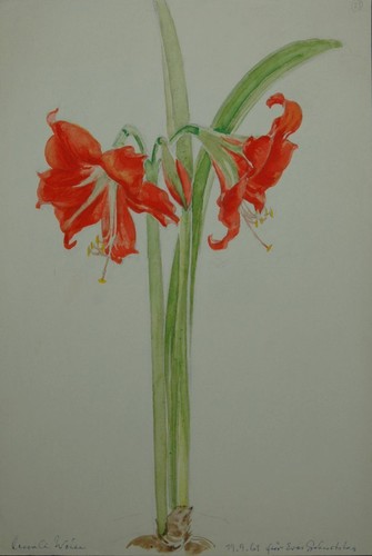 Blumenaquarell mit roten - blumenaquarell, 2
