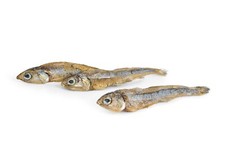 Sprotten Trockenfisch Für