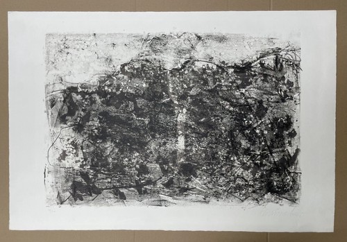 Emil schumacher lithographie - emil,