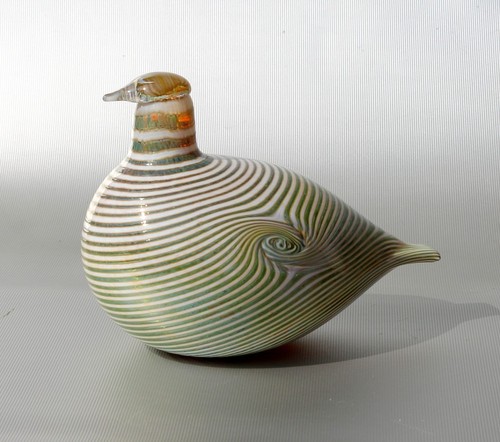 Oiva toikka glasvogel snipe - oiva,
