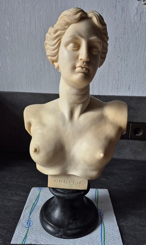 Büste venus von - büste, ,
