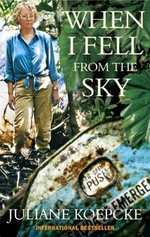 When fell from the sky - i,