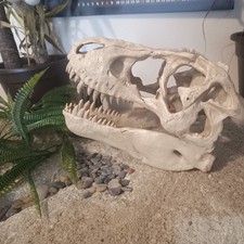 Trex Dino Schädel Wand Deko