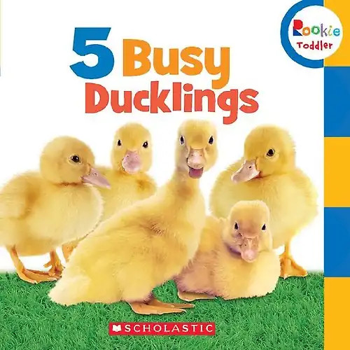 Busy ducklings rookie - 5, (rookie
