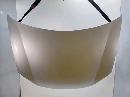 Motorhaube volkswagen golf - volkswagen, v