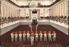 Pferde Spanische Hofreitschule Wien Begrüssung