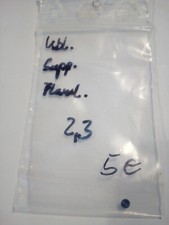 1 blauer Saphire rund facet flawless kornblumenblau ca. 2,3mm