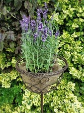 Blumenkorb aus Metall zum