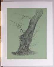 Druckgrafik von Siegward