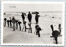 Dünkirchen 1940 - Soldatengrab mit Stahlhelm und Gewehr - WK2 Foto 9x6cm