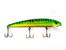 Grandma Firetiger Shallow