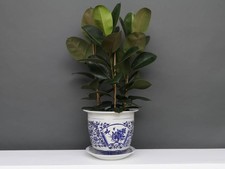 China Porzellan Blumentopf