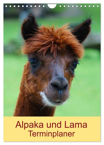 Alpaka und lama terminplaner - alpaka,