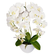 Künstliche Orchideen Weiß im