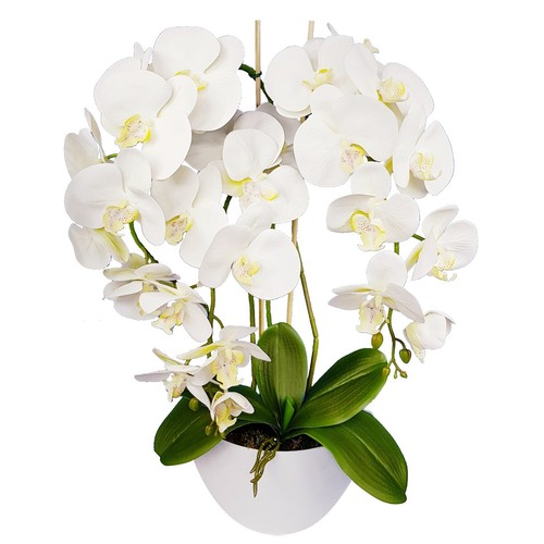 Künstliche orchideen weiß - künstliche,