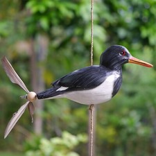 Austernfischer-Windspiel mit