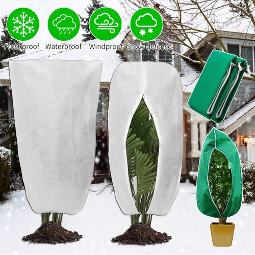 Pflanzen winterschutz - pflanzen,