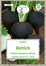 Rettich Runder schwarzer