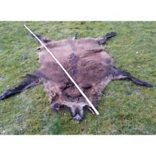 TOP echte Wildschweinschwarte