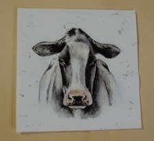 5 lose Servietten Kuh Kühe