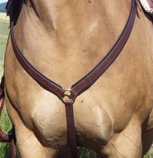 NEU! BioThane Western