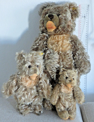 Steiff teddy zotty 20 - x, 🧸20
