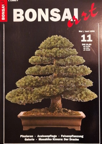 Bonsai art - 10,