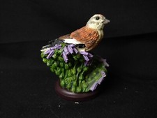 Unsere schöne Vogelwelt Collection, handbemalt, 7 x 10 cm, Bluthänfling