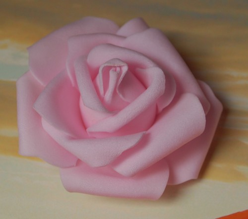 Schaumrosen softrosen rosen - softrosen,